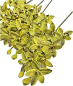 4pcs Artificial Cymbidium Orchid Flower Plant 3D Print Vanda 10 Heads Latex Phalaenopsis Flower (Light Green)