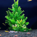 2 Pack Aquarium Decor Plastic Plants Extra Large Artificial Fish Tank Plants Tall Fish Tank Decorations- Green 12" Tall