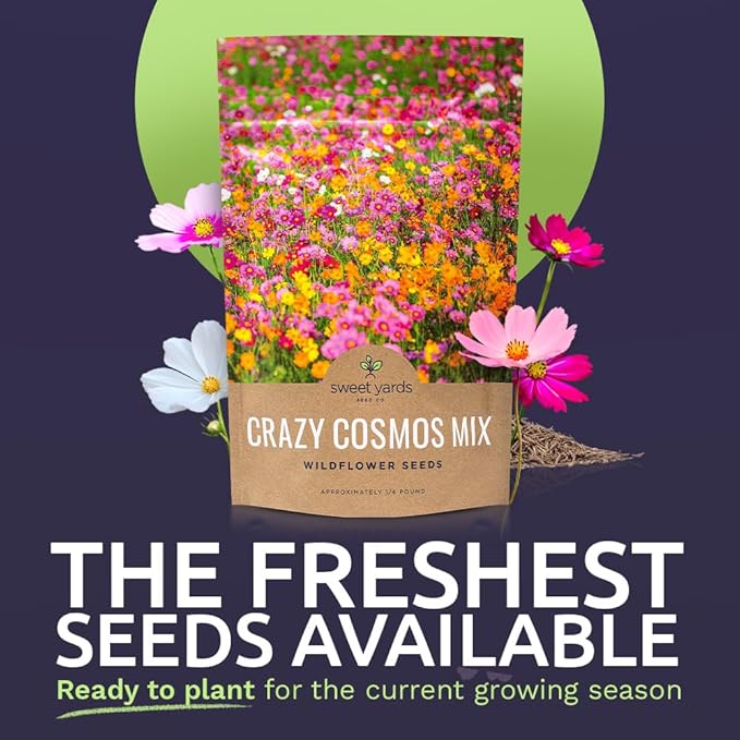 Cosmos Seeds Wildflower Mixture - Bulk Quarter Pound Bag - Over 20,000 Seeds - Pink, Yellow, Orange, Red, Purple and White Mixed Species!