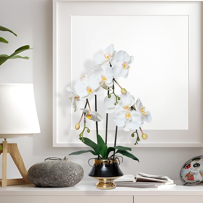 CXGS Orchids Artificial Flowers Realistic Fake Flowers in Ceramic Vase 20" White Faux Plants Indoor Lifelike Soft PU Phalaenopsis for Centerpiece Hotel Home Decor