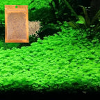 Freshwater Aquarium Decor, Easy Growing Dwarf Carpet for Fish Tank/Terrarium, Natural Aquatic Plant Growth Material – 1 Pack (Lucky Grass)