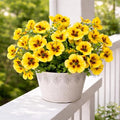 Artificial Flowers for Outdoors, 8 Bundles Faux Silk Spring Flowers for Outside for Planter Front Door Porch Yard Patio Window Box Home Decor (Colour 067-yellow)