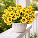 Artificial Flowers for Outdoors, 8 Bundles Faux Silk Spring Flowers for Outside for Planter Front Door Porch Yard Patio Window Box Home Decor (Colour 067-yellow)