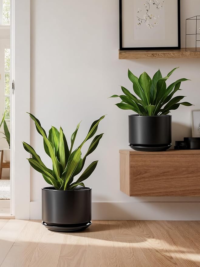 LE TAUCI Ceramic Pots for Plants, Set of 2, 10 + 12 Inch Plant Pot with Drainage Hole and Saucer, Durable & Stylish Planters for Indoor Plants, Elevate Your Home’s Aesthetic, Black