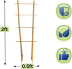 Bamboo Trellis 2FT 3 Pack, S2 Natural Bamboo Plant Ladder Stakes 24 Inch, Fan-Shaped Plant Support Stand for Orchid Vines, Monarchs, Ivy and Other Plants Climbing, Help Plant Growth