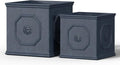 Kante Square Lion Head Concrete Planter Set of 2, Classic English Style Plant Pot with Drainage Hole and Rubber Plug for Indoor Outdoor, 10.2"x10.2"x10.2" and 12.6"x12.6"x12.6" Antique Gray