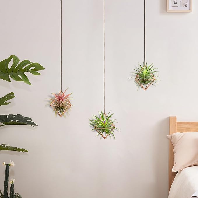 Hanging Air Plants Holders, 2Pcs Metal Air Plant Hangers for S-M Sized Air Plants, Himmeli Geometric Planter to Add a Sense of Style and Relaxation for Home Office Wedding (PinkGlod, 2pcs)