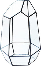 Geometric Glass Terrarium for Indoor Plants,Irregular Clear Planter,Black Opened Container Pot for Cacti,Succulents and Moss,Home Garden Office Tabletop Decor,6.5x5.7x9.8'' No Door