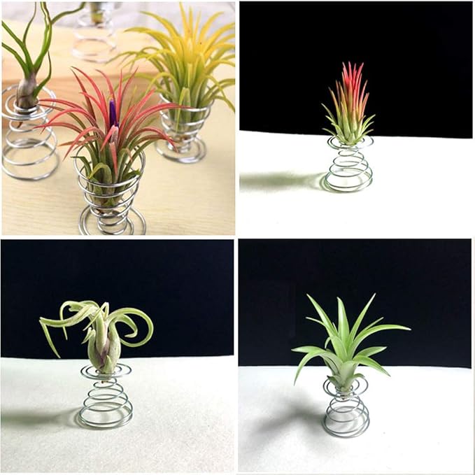 20 PCS Stainless Steel Plant Display Racks Air Plant Stand Airplant Container Make Home for and Fashionable Durabl Metal