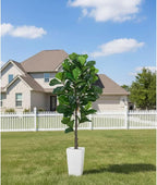 Aveyas 6ft Artificial Fiddle Leaf Fig Tree for Home Decor, 6 Feet Large Faux Plant Fake Ficus lyrata Silk Trees with Pot for Indoor Outdoor House Living Room Office (6 ft Tall Including Raised Pot)