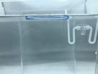 Aquarigram 60+ Giant Duckweed (+Mystery Plant + Invisible Feeding Ring) Live Aquatic Floating Plant for Aquarium (spirodela polyrhiza)