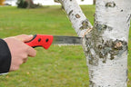 FELCO 621 Pruning Saw – Straight Pull-Stroke Saw for Tree Trimming & Forestry | Tree Branch Cutter | Handsaw with Tapered Hardened Steel 9.5" Blade, Non-Slip Handle, Carrying Sheath, Swiss Precision