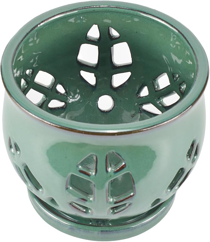 W&W Orchid Pot with Holes and Saucer for Repotting, Green, 6.5"