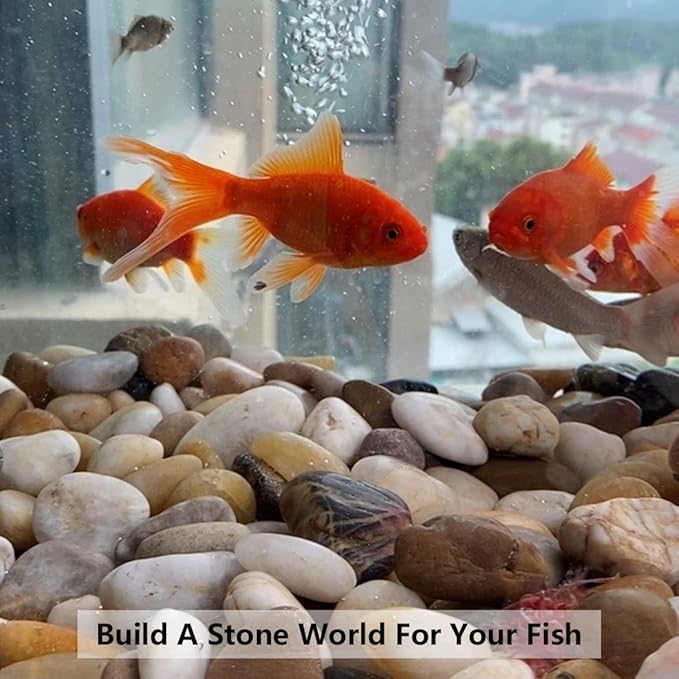 YISZM White Pebbles for Indoor Plants, Natural Polished River Rocks, Small Decorative Stones for Planters Vase Fish Tank Aquariums Landscaping Garden, 10lbs