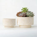 Succulent Pots, 8 Inch + 6 Inch Plant Pots for Plants with Drainage Hole, Indoor Outdoor Ceramic Planter, Set of 2 Round Flower Pots for Succulent and Plants, Beige