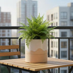 Nihow Self Watering Plant Pot: 6 Inch Ceramic Planter with Drainage Hole & Water Storage Plus for Indoor & Outdoor Plants - Cylinder Round Flower Pot for Succulent/Herbs/Violets - White & Nature
