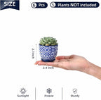 Selamica Ceramic 2.4 Inch Succulent Pots, Mini Succulent Planter Pot for Cactus Plant with Drainage Holes & Saucers, Home Decor, Set of 6, Vintage Blue