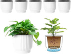 T4U 4.5 Inch Plant Pots Self Watering, 6 Pack African Violet Pots, Small Plant Pots for Plants, Small Indoor Plant Pot, Self Watering Planter for African Violet, Succulents (6 Pack 4.5" Pots, White)