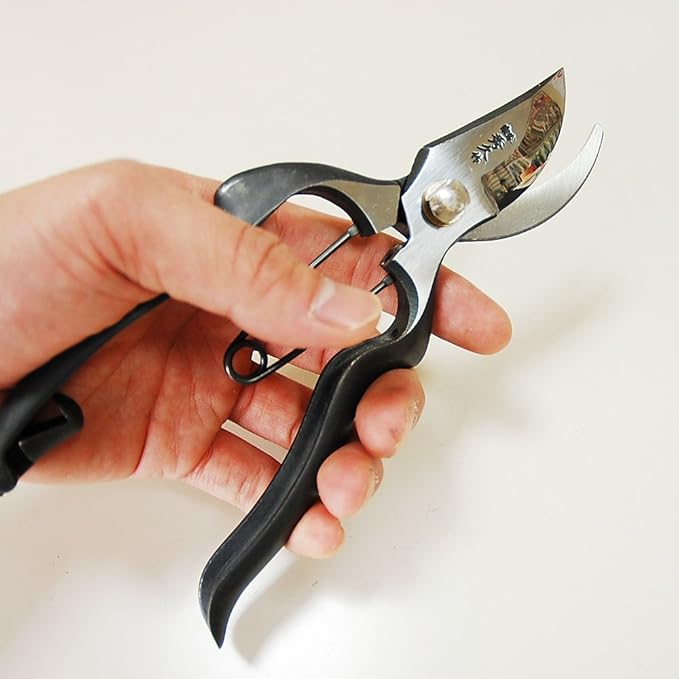 Soke Hidehisa Professional Garden Shears YP200 (Japan Import)