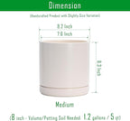 D'vine Dev 8.2 Inch Ceramic Planter Pot with Drainage Hole and Saucer, Indoor Cylinder Round Planter Pot, Oatmeal, 94-O-D-8