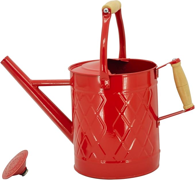 1 Gallon Watering Can, Red, Galvanized, Metal Watering Can with Removable Spout, Perfect Water Can for Indoor & Outdoor Plants