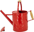 1 Gallon Watering Can, Red, Galvanized, Metal Watering Can with Removable Spout, Perfect Water Can for Indoor & Outdoor Plants