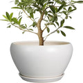 Ceramicfor Planter for Indoor Plants 13 Inch - Ceramic Plant Pot with Drainage Hole and Saucer Decorative Round Large Planter Pot for Plants Outdoor Flower Pot for Room Decor White