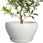 Ceramicfor Planter for Indoor Plants 13 Inch - Ceramic Plant Pot with Drainage Hole and Saucer Decorative Round Large Planter Pot for Plants Outdoor Flower Pot for Room Decor White
