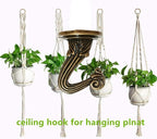 6 Sets White Ceiling Hooks for Hanging Plant, Heavy Duty Swag Toggle Hooks with Hardware
