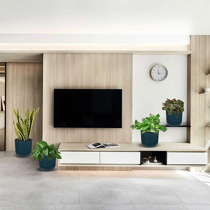 Low Light Live Plants for Indoor | Different Houseplants in Multiple Sizes | Real House Plant for Living Room, Office, Desk & Bathroom