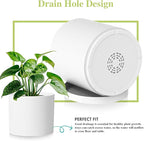 Large Plant Pots Set of 3 – 8", 9", 10" Indoor Flower Pots with Drainage Holes and Saucers, Big Planters for Monstera, Fiddle Leaf Fig, Snake Plant – 5 Colors