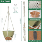 Self-Watering Hanging Planters for Indoor Plants Set 2-Piece Includes Plant Hanging Pot, Drainage-Hole Hanging Pot, and Hanging Basket Rack (10 Inches, Green)