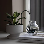 Beautiful Self-Watering Wick System for Effortless Plant Care, Automatic Drip Irrigation, Sustainable & Stylish Scandinavian Design, Ideal for House Plants (M, Black)