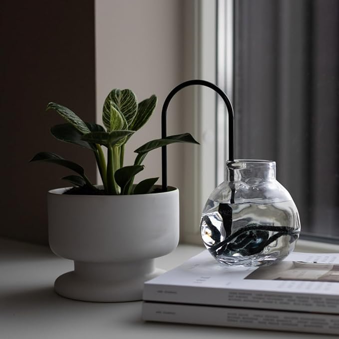 Beautiful Self-Watering Wick System for Effortless Plant Care, Automatic Drip Irrigation, Sustainable & Stylish Scandinavian Design, Ideal for House Plants (S, Black)