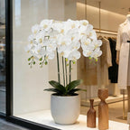 Htmeing 38 Inch Artificial Phalaenopsis Flowers Branches Real Touch (Not Silk) Orchids Flowers for Home Office Wedding Decoration,Pack of 2 (White)