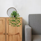 2 Pack Fake Hanging Plants for Shelf in Back Pot, Small Artificial Hanging Ivy Vine Plants Indoor Fake Potted Greenery Plant for Room Bathroom Kitchen Wall End Table Mimi Faux Pothos Plant Set Decor