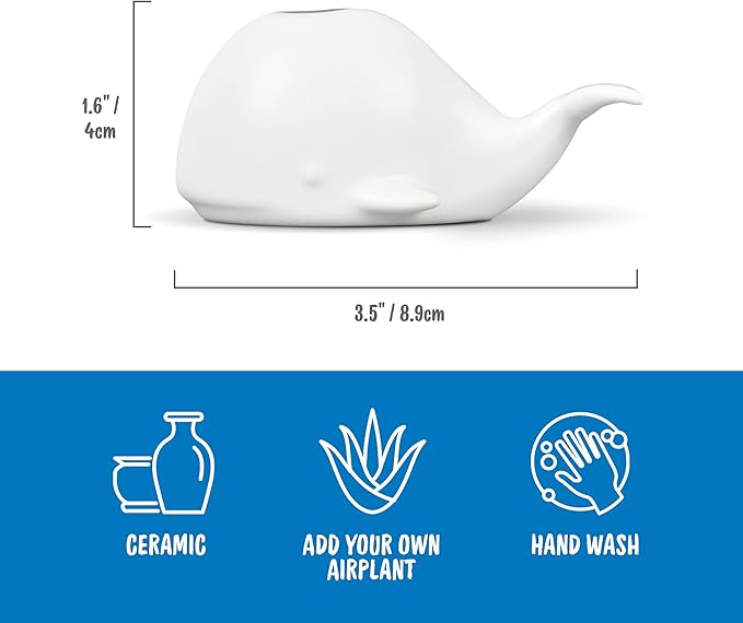 Fred Genuine Fancy Ceramic Mini Air Plant/Succulent Holder, Regular, Whale