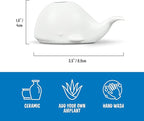 Fred Genuine Fancy Ceramic Mini Air Plant/Succulent Holder, Regular, Whale