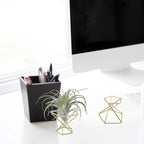 20 PCS Air Plants Holders Unique Geometric Metal Plant Stands Airplants Container Live Air Fern Display Racks Small Decor Items for Shelf (Gold)
