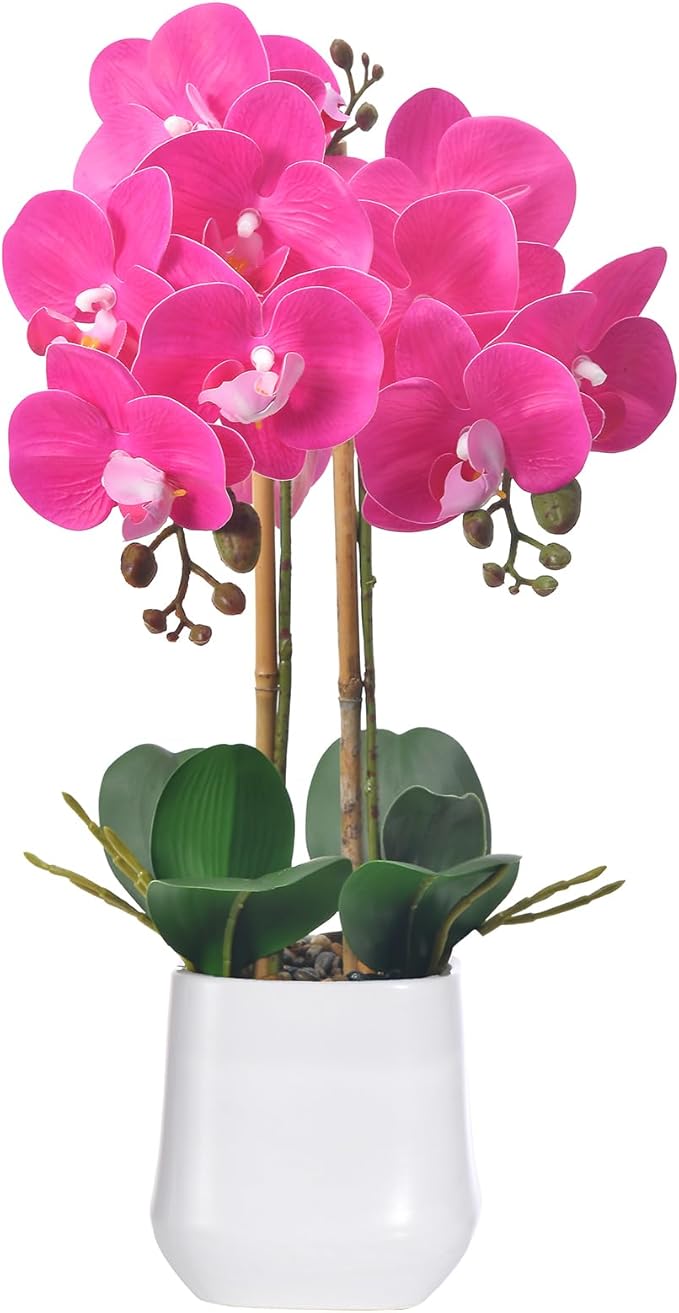 Orchids Artificial Plant in Ceramic Pot 18.5" Faux Orchid Phalaenopsis Flowers Arrangement for Home Office Table Centerpiece Indoor Decor, Fuchsia