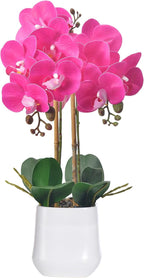 Orchids Artificial Plant in Ceramic Pot 18.5" Faux Orchid Phalaenopsis Flowers Arrangement for Home Office Table Centerpiece Indoor Decor, Fuchsia