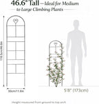 46" Metal Garden Trellis, 3-Section Plant Trellis for Climbing Plants Indoor & Outdoor, Plant Support for Roses, Vines & Vegetables, 1 Pack, Black