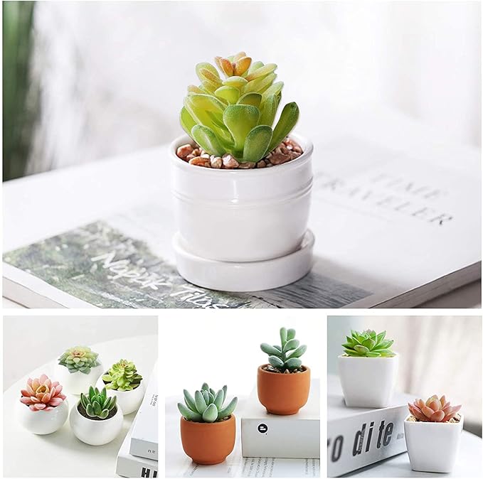HappyHapi 12 Pcs Artificial Succulents Mini Fake Plants Unpotted Faux Succulent for Craft, Small Plastic Succulents Assortment in Flocked Green Floral Decor for Party, Cake, Garden & Outdoor
