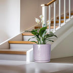 Ceramic Plant Pots, 12 Inch Pots for Plants Indoor Outdoor, Round Planter with Drainage Hole and Tray, Modern Decorative Flower Pot, Home Apartment Decor, House Warming Gifts, Purple