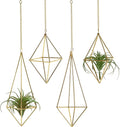 Air Plants Holders Hanging Airplants Hangers Himmeli Metal Wire 4Pcs Geometric Display Airfens Planter Frame 2 Sizes Tillandsia Holder with Chain and Hooks Decor for Home Office
