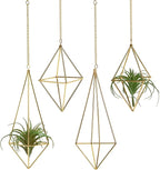Air Plants Holders Hanging Airplants Hangers Himmeli Metal Wire 4Pcs Geometric Display Airfens Planter Frame 2 Sizes Tillandsia Holder with Chain and Hooks Decor for Home Office