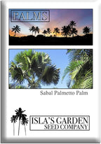 Sabal Palmetto Palm Tree Seeds (Cabbage Palm) – 15 Non-GMO Seeds per Packet by Isla’s Garden Seeds, Tropical Landscape Tree, Heat Tolerant, Coastal Friendly, 75% Germination Rate