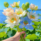 60pcs Mix Bonsai Lotus Seeds for Planting in Water Bowl Lotus Seed Water Lilys Flower Plant for Ponds and Gardens