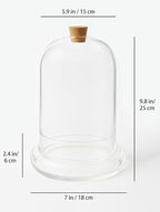 Handblown 10" Glass Terrarium with Opening for Air Flow & Cork Stopper Cloche Style Glass Dome Vivarium Display Case (Large)