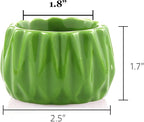 Live Lucky Bamboo 2 Stalk Love Arrangement in Round Green Ceramic Planter - 4 and 6 Inches Lucky Bamboo Indoor Potted House Plant for Home and Office Decor